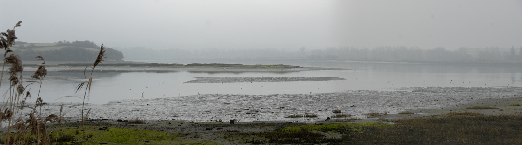 Sous son ciel gris...