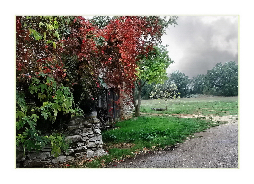 Sous une petite pluie fine