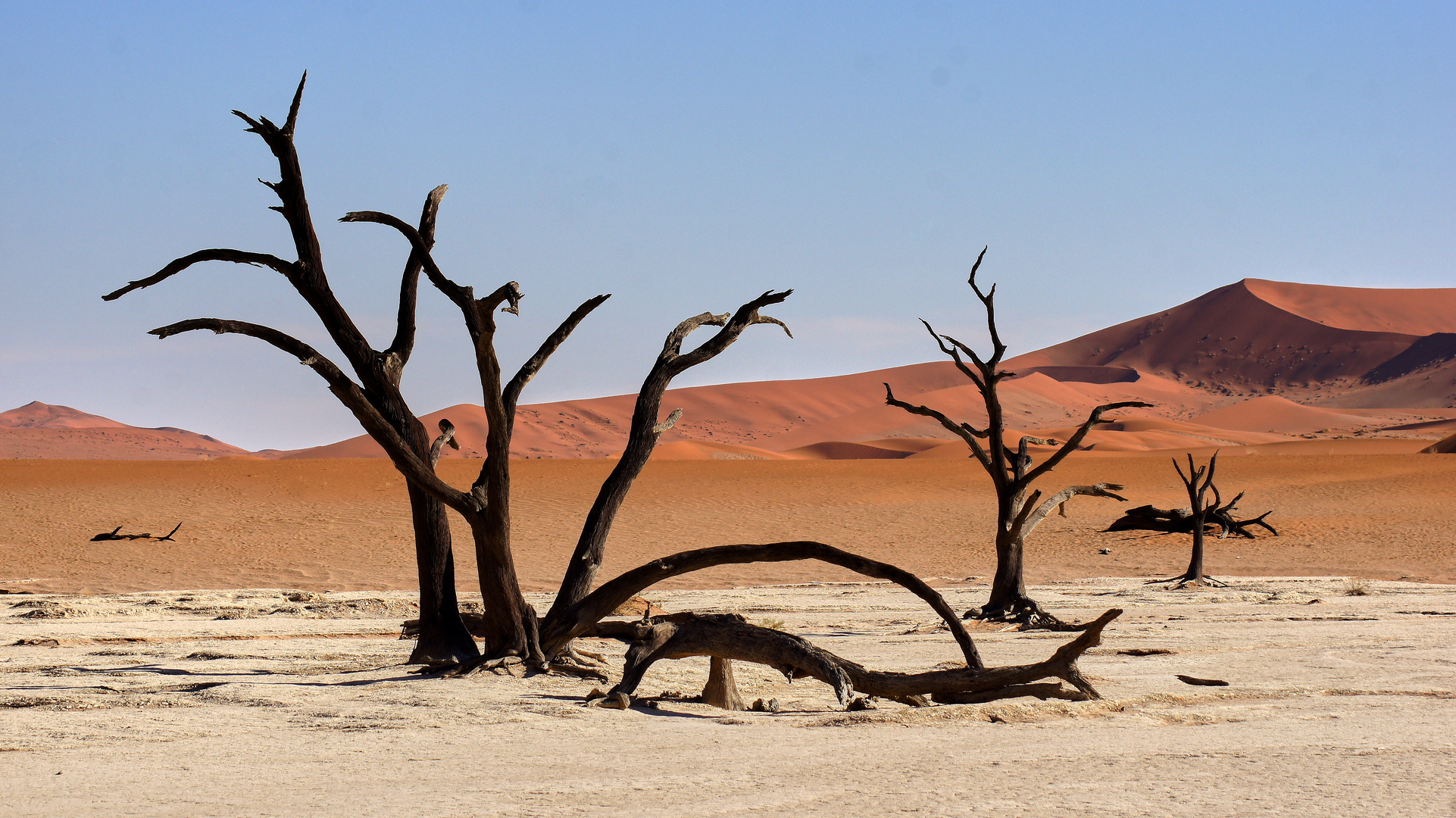 Sousousvlei,Namibia