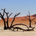 Sousousvlei,Namibia