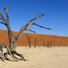 Sousousvlei,namibia