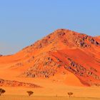 Soussuvlei 2