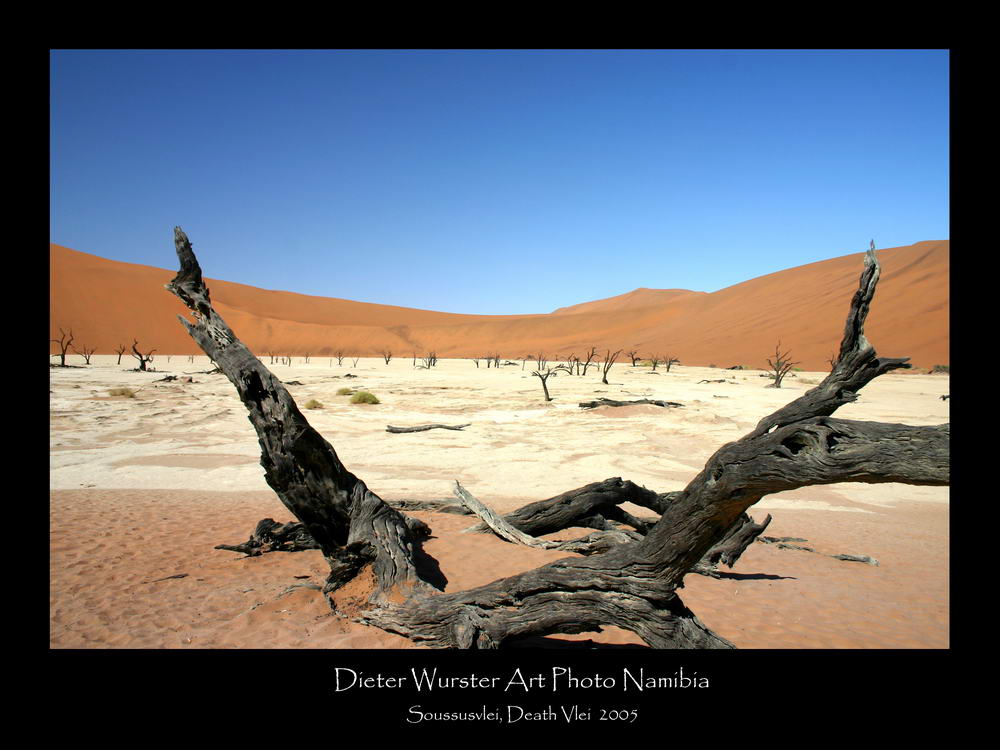 Soususvlei, death Vlei