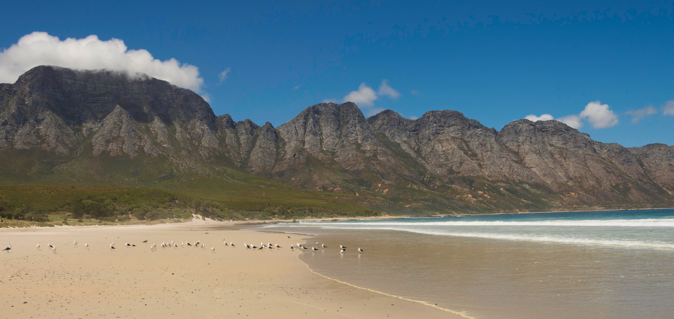 South Africa  - Cape Region
