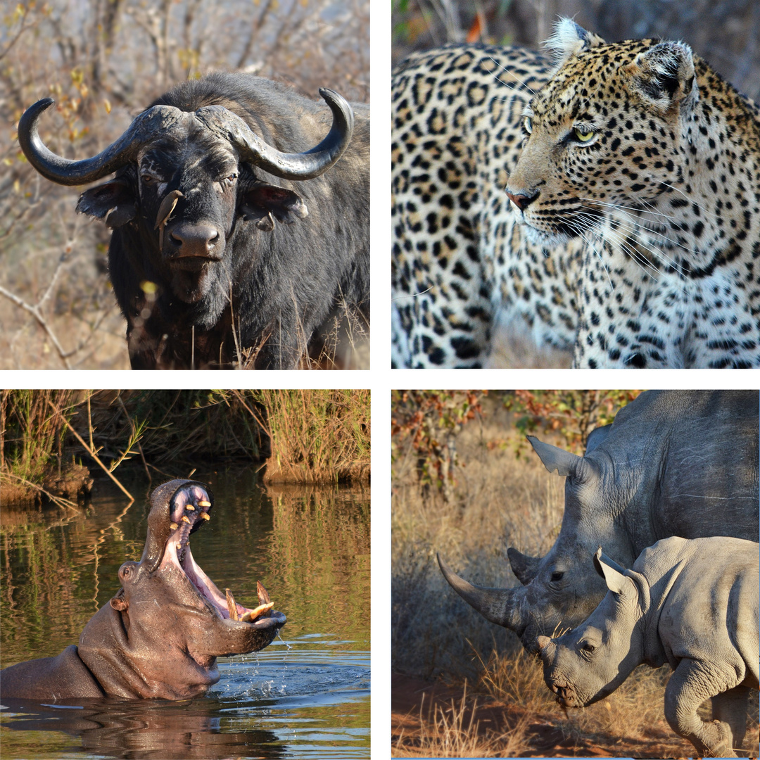 South Africa - Kruger Park