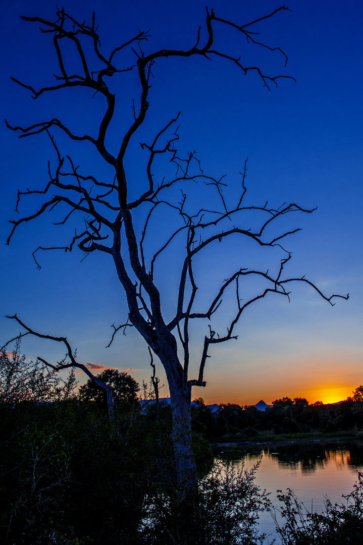 South Africa Sunrise