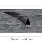 South-Africa Wale