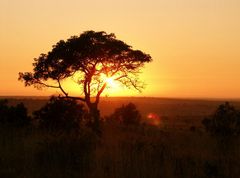 south african sunrise