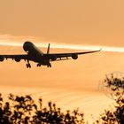 South African ZS-SNB Airbus A340-600 2017.05.10 (EDDF) Frankfurt Landeanflug