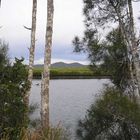 South Arm, Clarence River