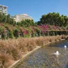 South Bank Parklands