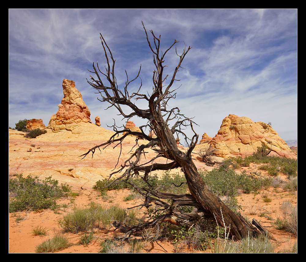 South Buttes