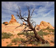 South Buttes