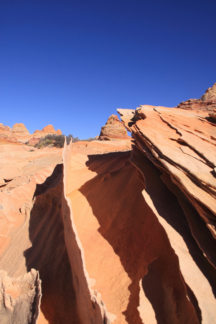 South Coyote Buttes