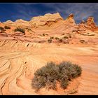 South Coyote Buttes