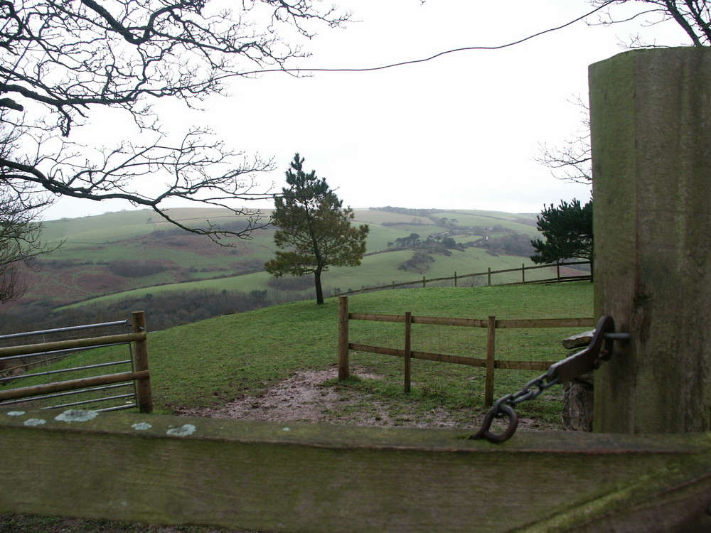 South Down Farm im Nebel