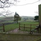 South Down Farm im Nebel