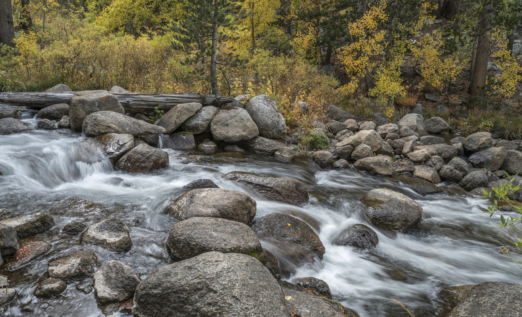 South Fork Bishop Creek