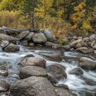 South Fork Bishop Creek