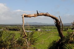 South Gippsland Hwy