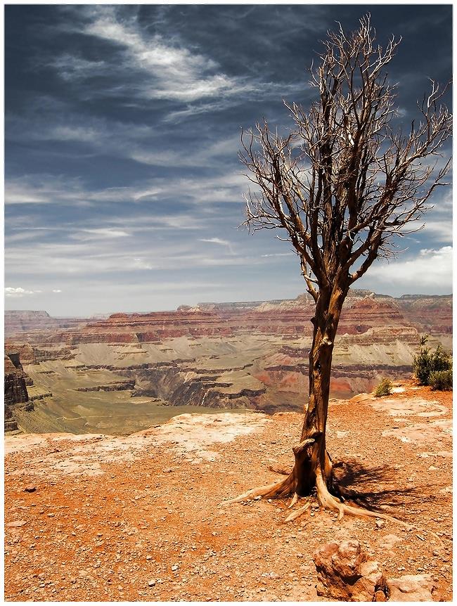 South Kaibab Trail 1