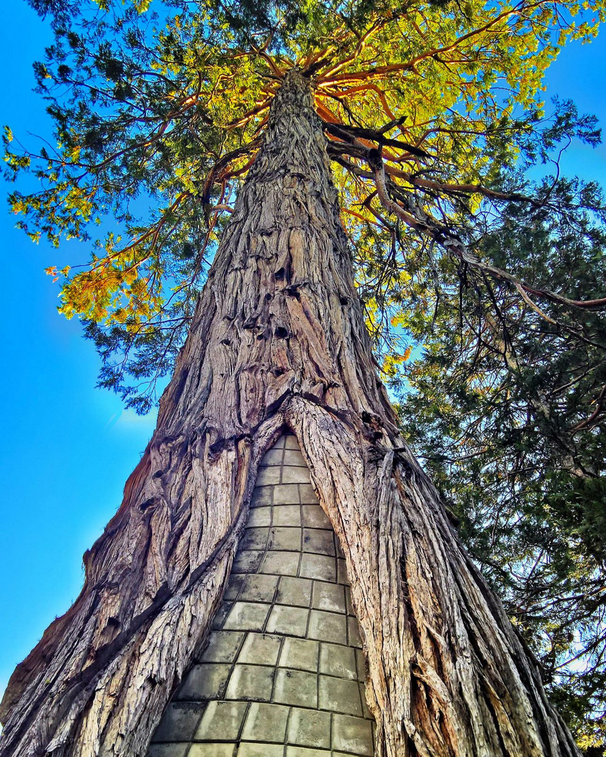 South Lake Tahoe