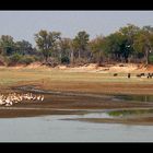 South-Luangwa...