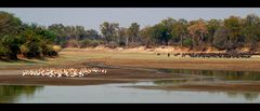 South-Luangwa...