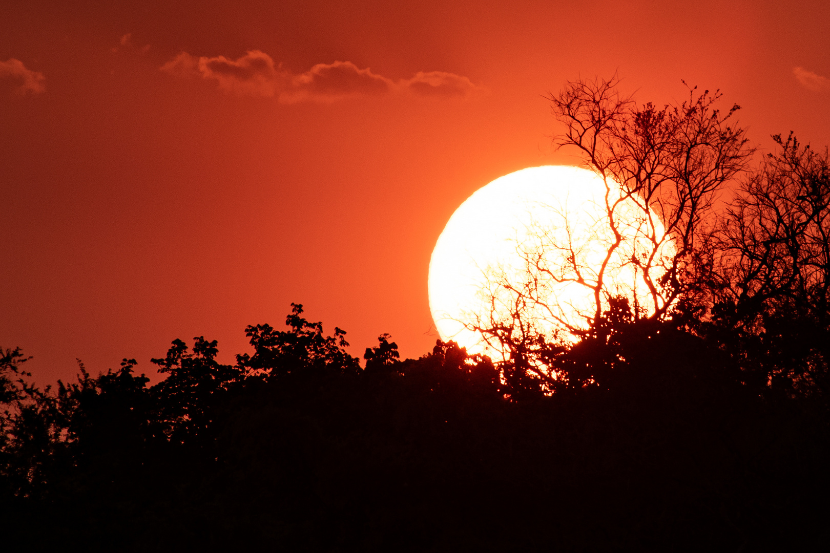 South Luangwa