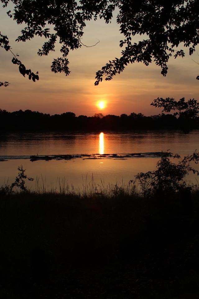 *South Luangwa Sundowner*