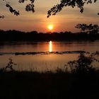 *South Luangwa Sundowner*