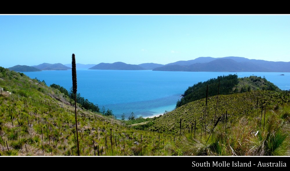 South Molle Island 1