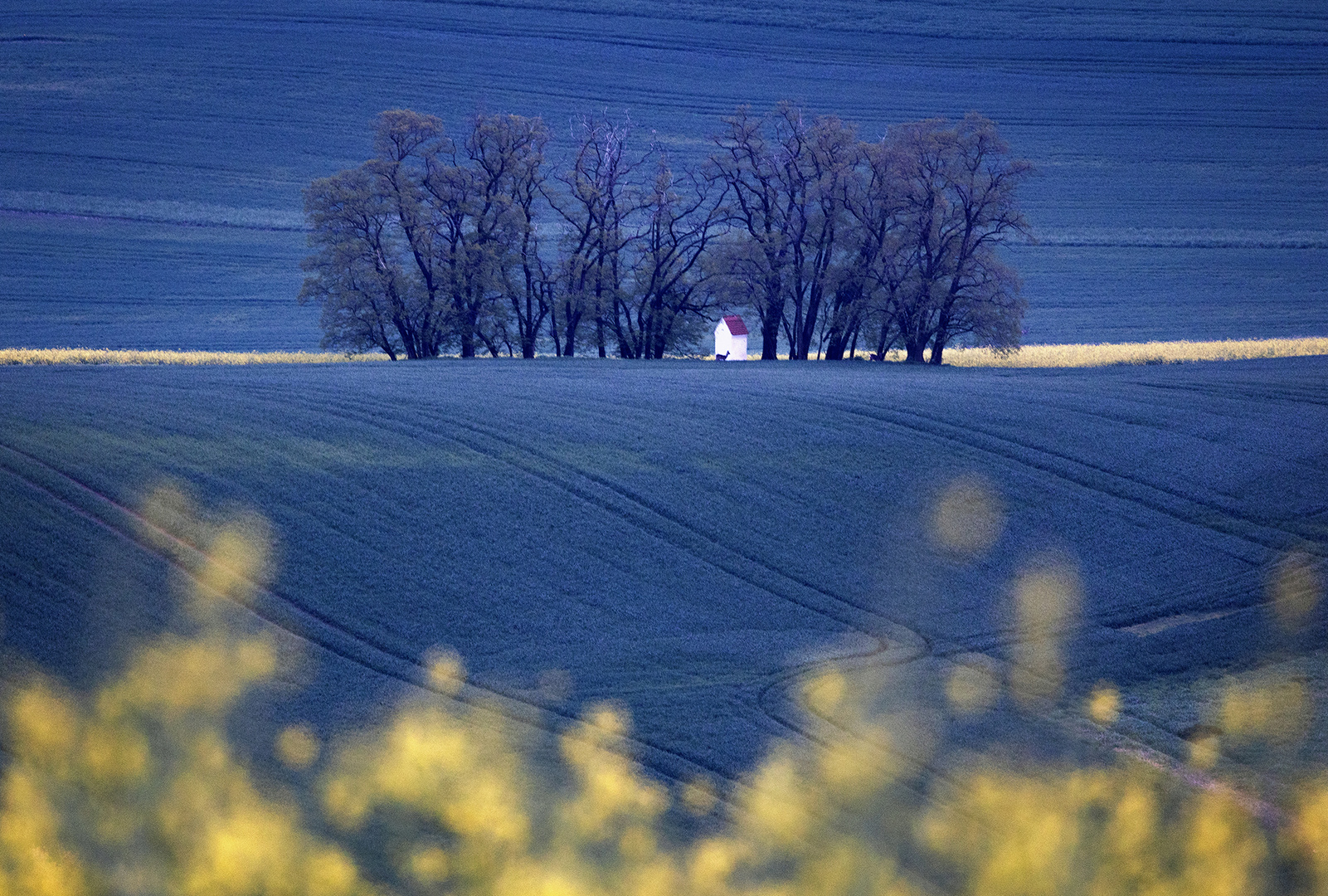 South Moravia 01