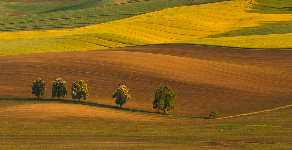 South Moravia