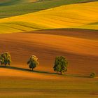 South Moravia