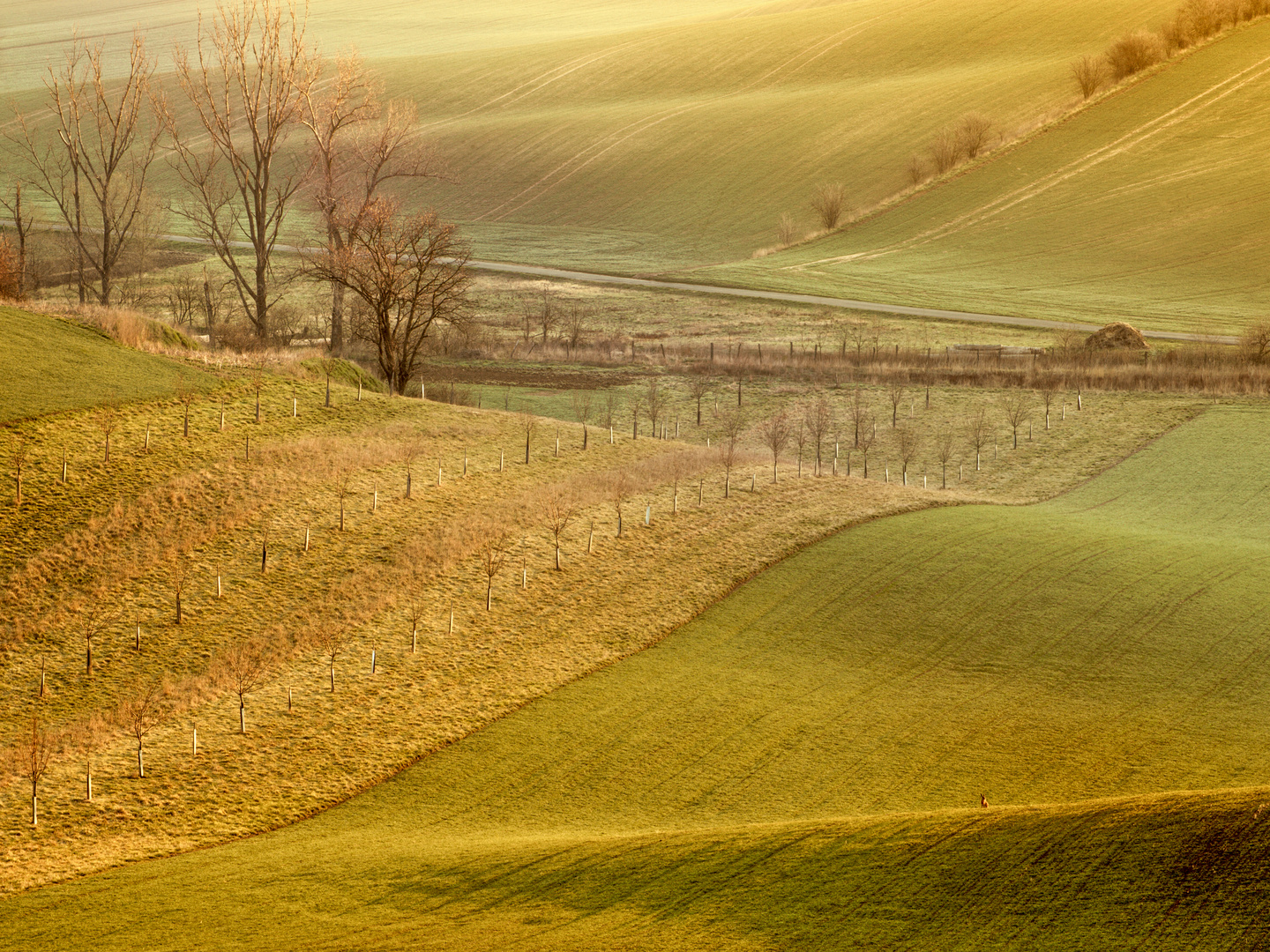 South Moravian Tuscany Wellige Felder