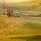 South Moravian Tuscany Wellige Felder