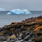 South Orkney Island...