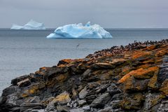 South Orkney Island...