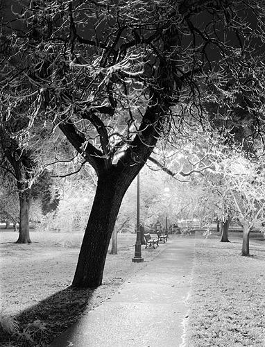 South Park at night, ice storm 2005