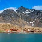 South Pole, Antarctica, South Georgia Island, Grytviken