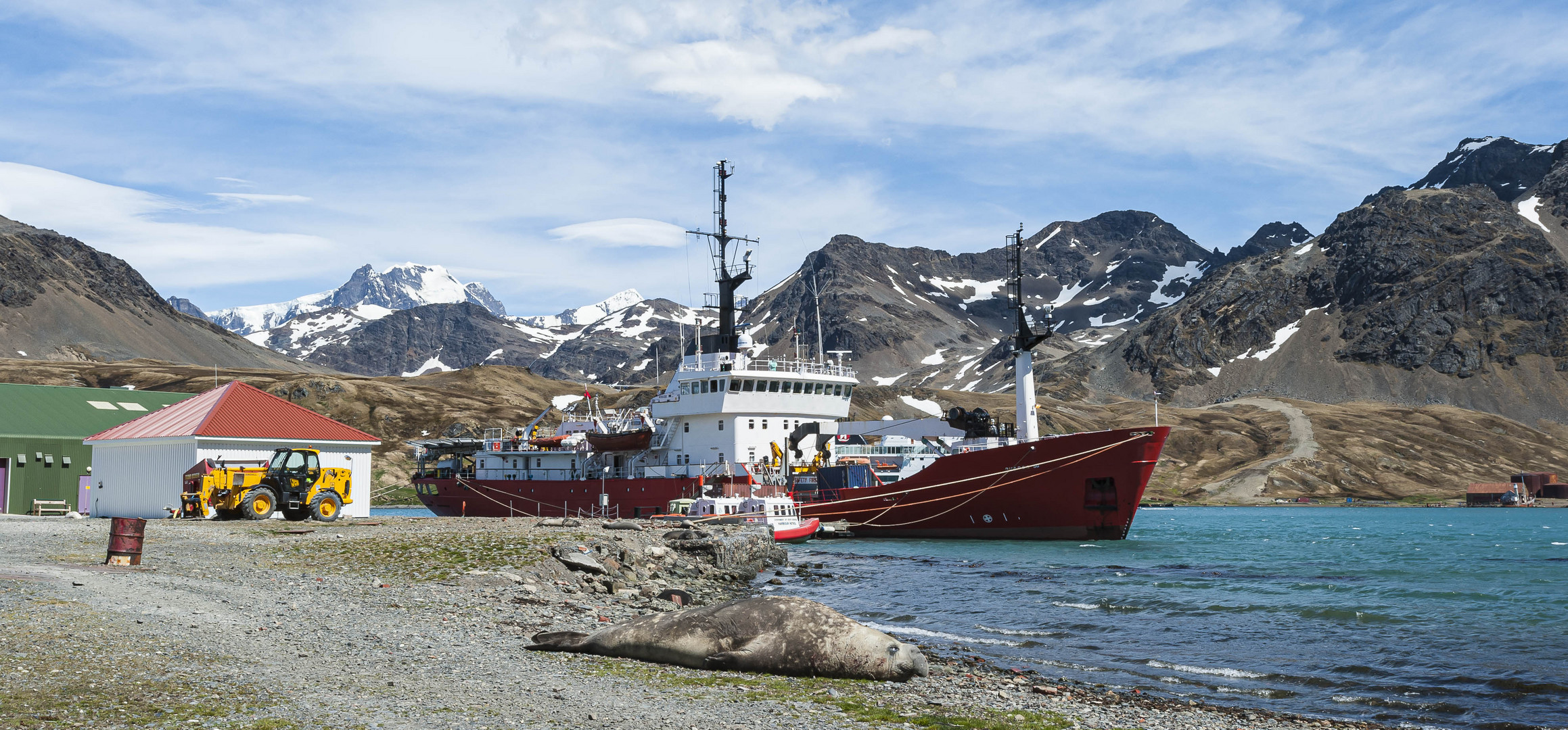 South Pole, Antarctica, South Georgia Island, King Edward Point