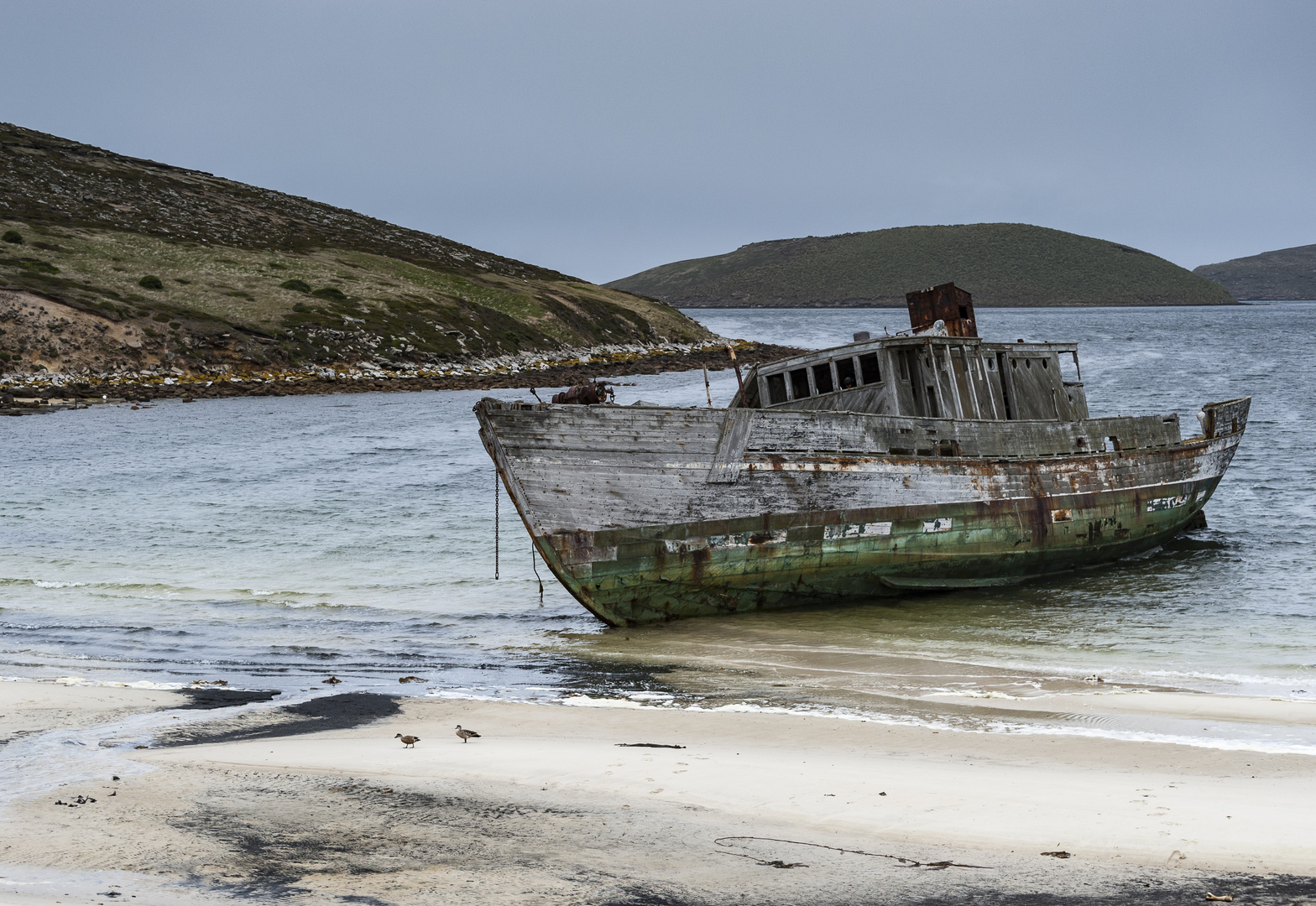 South Pole, Antarktis, Falklandinseln