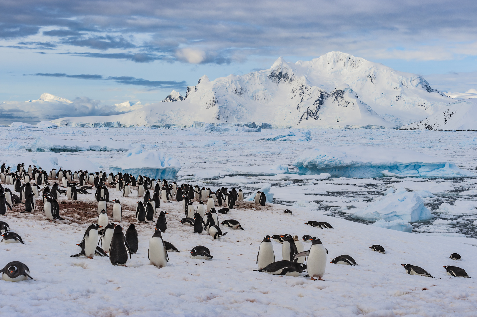 South Pole, Antarktis, Paradies Bay