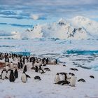 South Pole, Antarktis, Paradies Bay