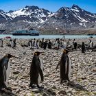 South Pole, Antarktis, South Georgia, Fortuna-Bay, Stromness, Königspinguine, MS Fram