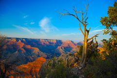 South Rim