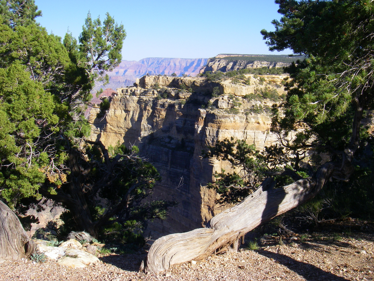 South Rim