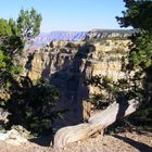 South Rim