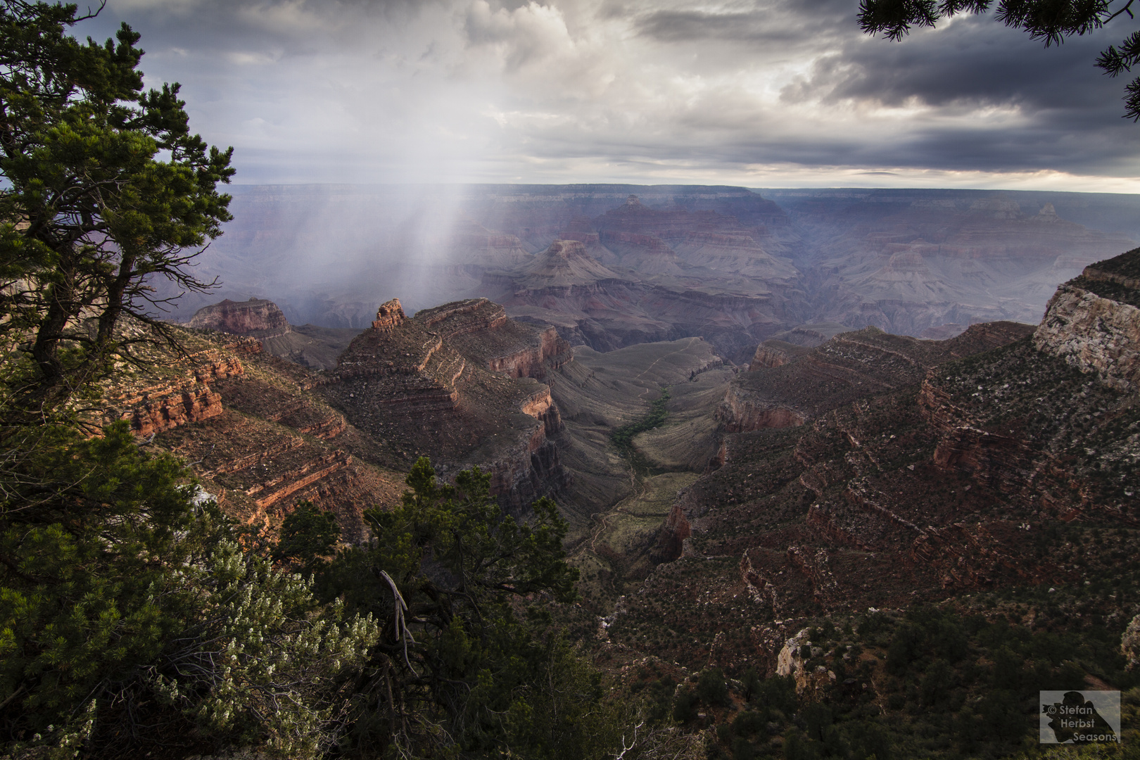 South Rim